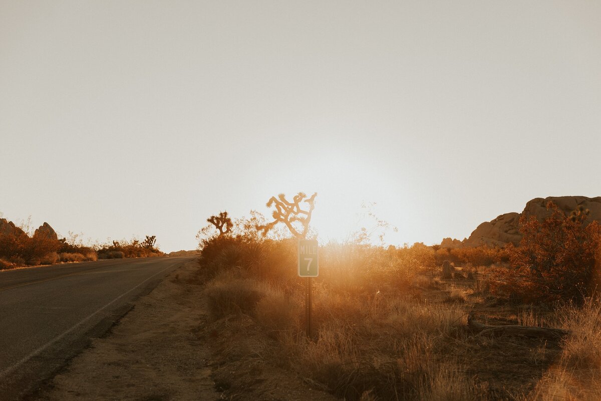 Joshua-Tree-Elopement-18