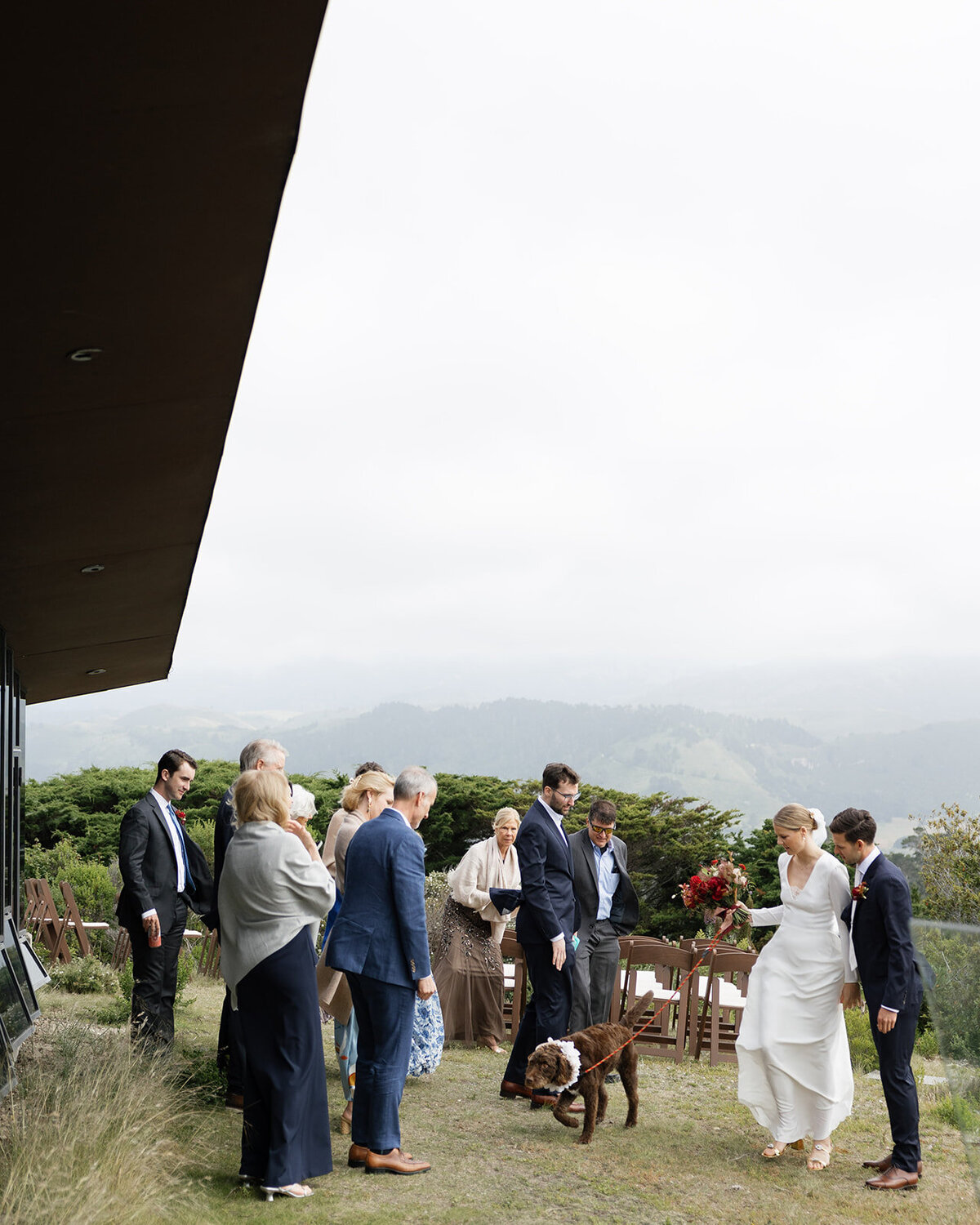 Bride and groom greeting guests with their dog at an outdoor wedding
