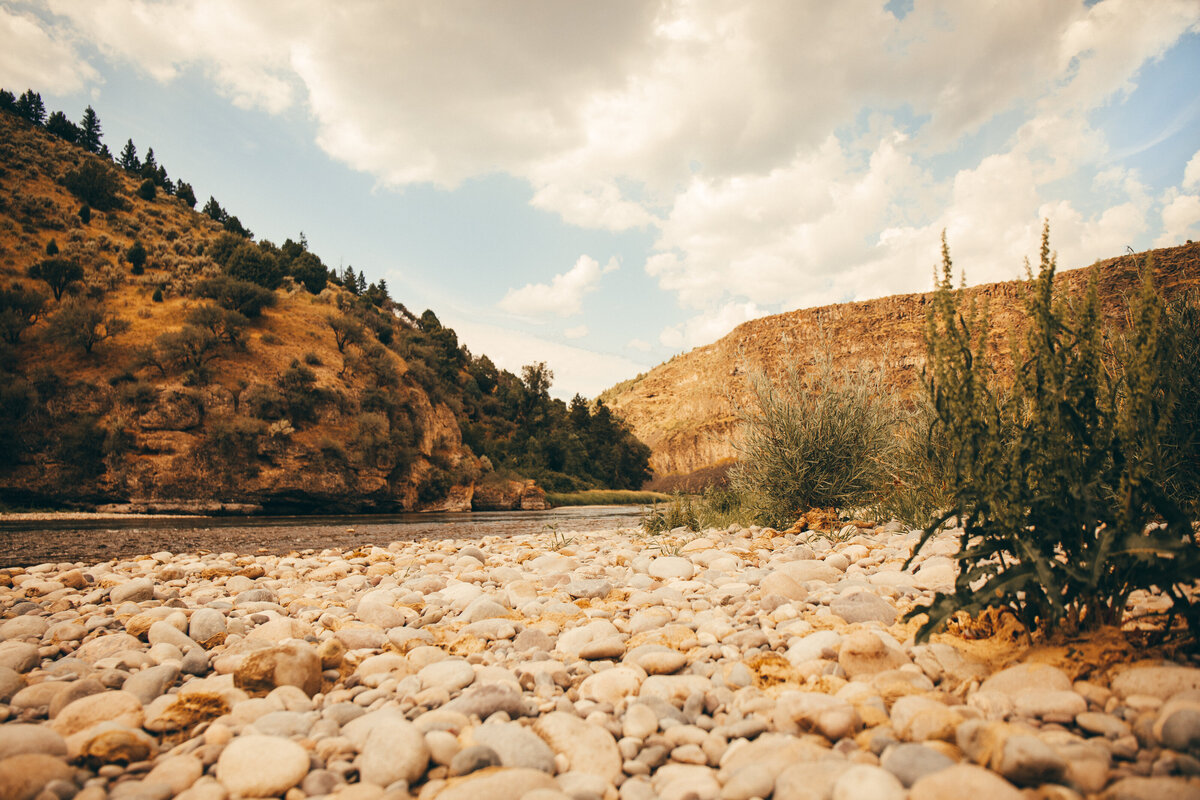 Jackson Hole Elopement Portfolio