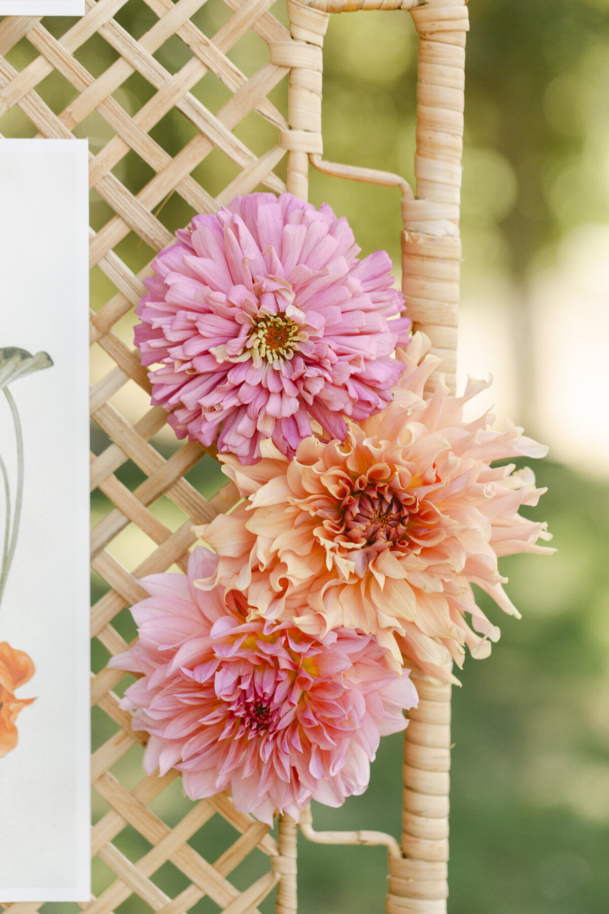 PERRUCCIPHOTO_CARMEL_VALLEY_RANCH_WEDDING_151