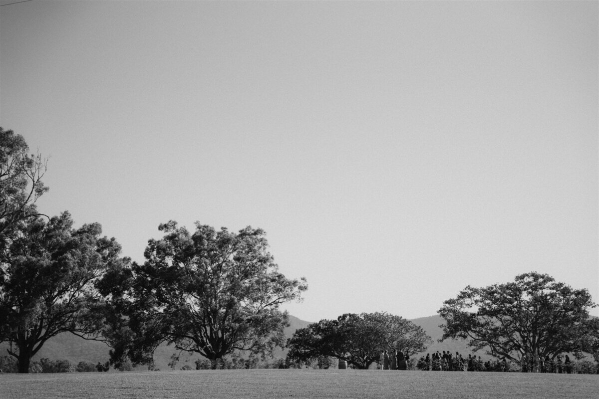 DSC09677