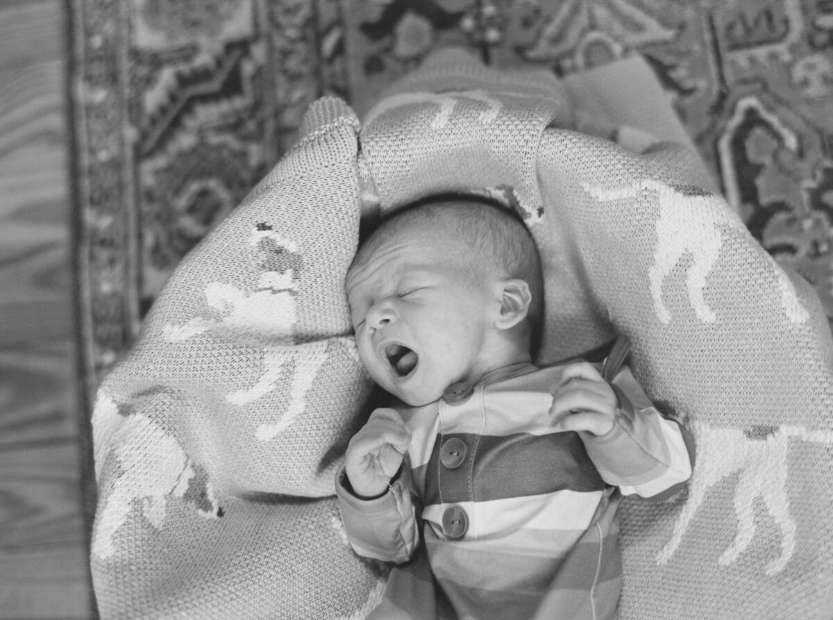 newborn-session-danielle-james-photography-15