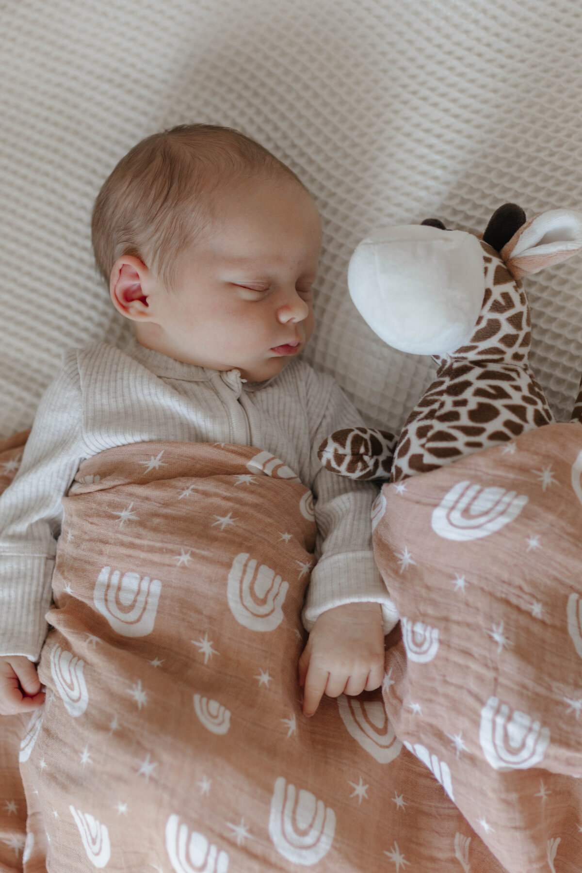 newborn photography cairns