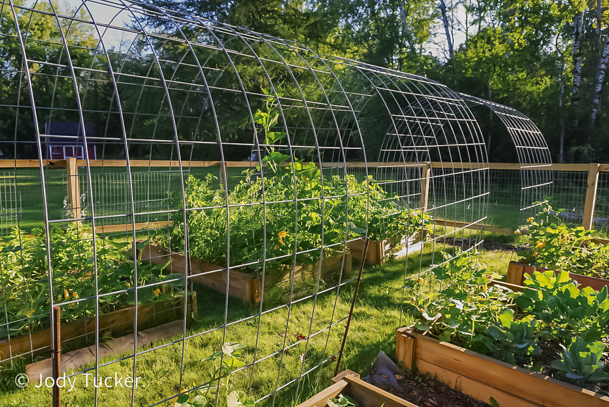 garden arches 2024