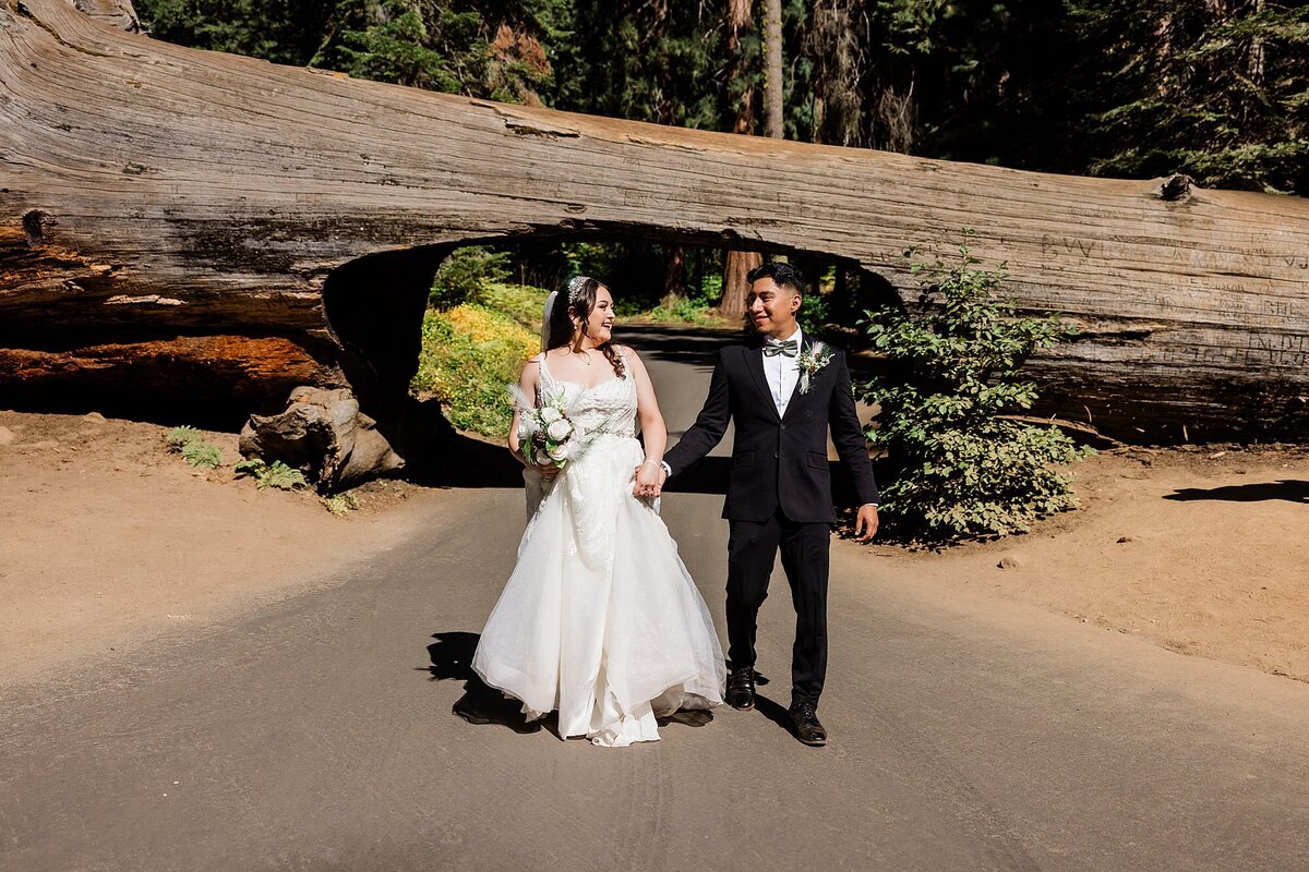The bride and groom walk underneath Tunnel Log in Sequoia.