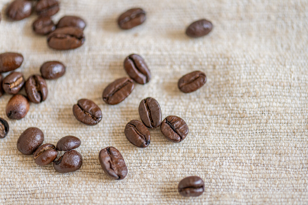 0118 Eight50 Coffee Summer Collection 2022 Ottawa -PBE