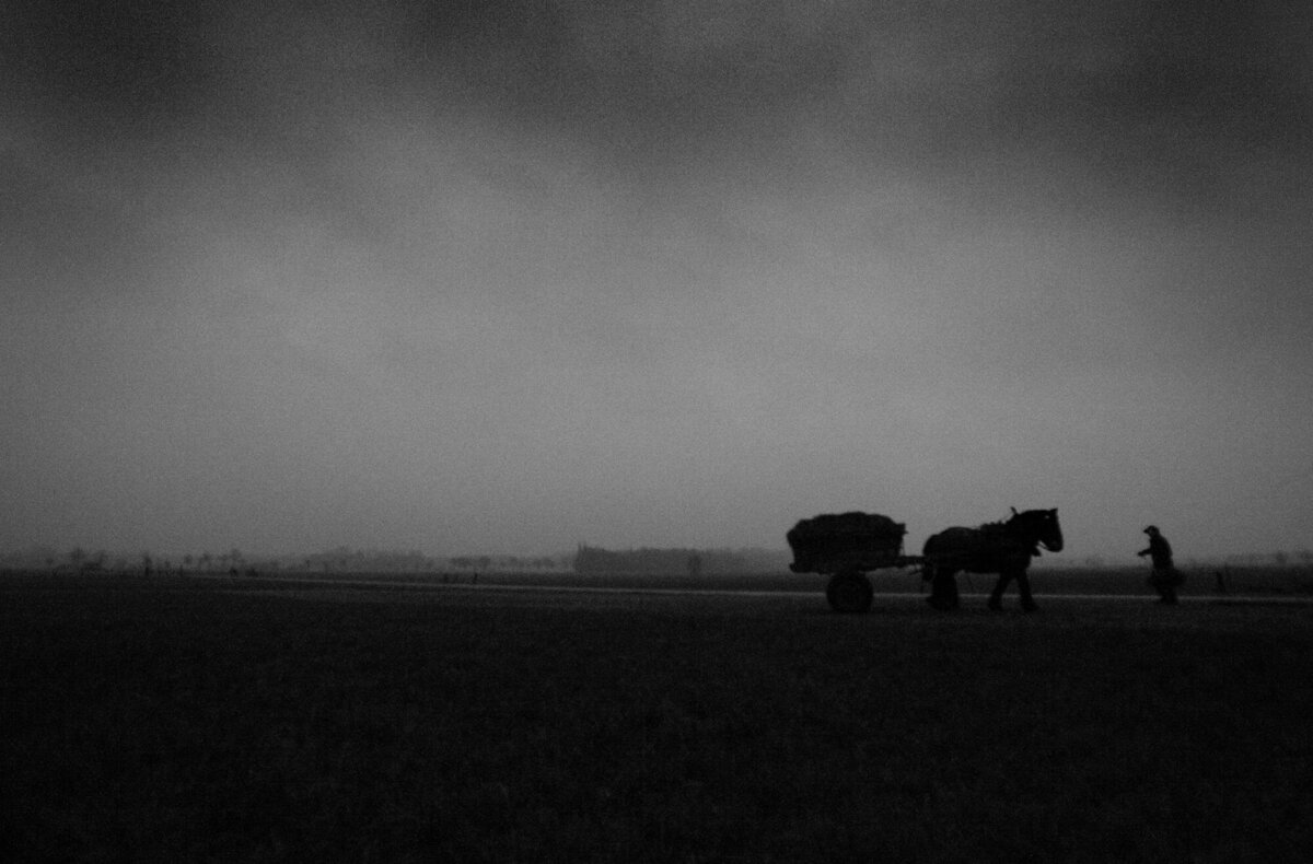 Bart Van der Moeren - De Stille Kempen - 010