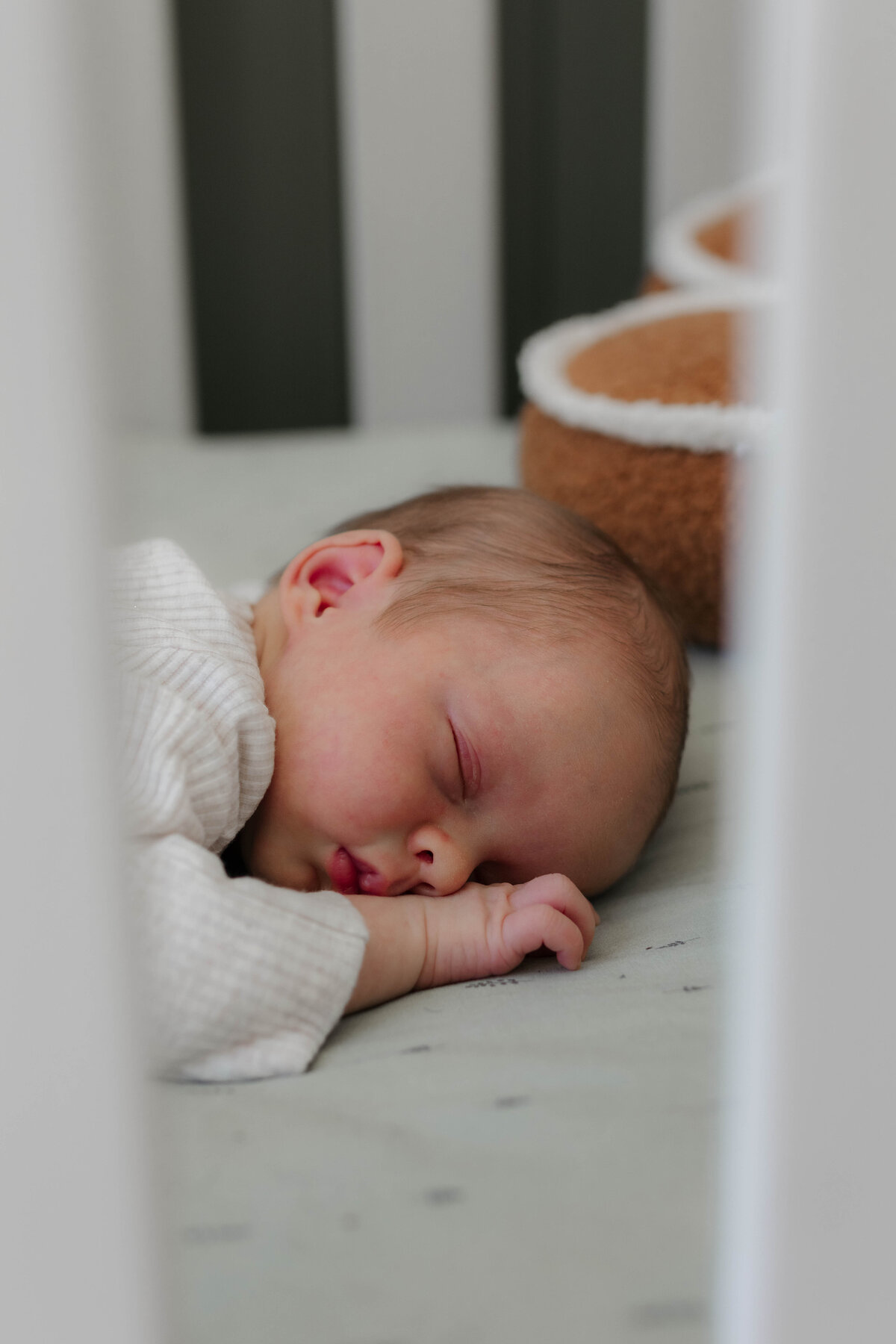 newborn photography cairns
