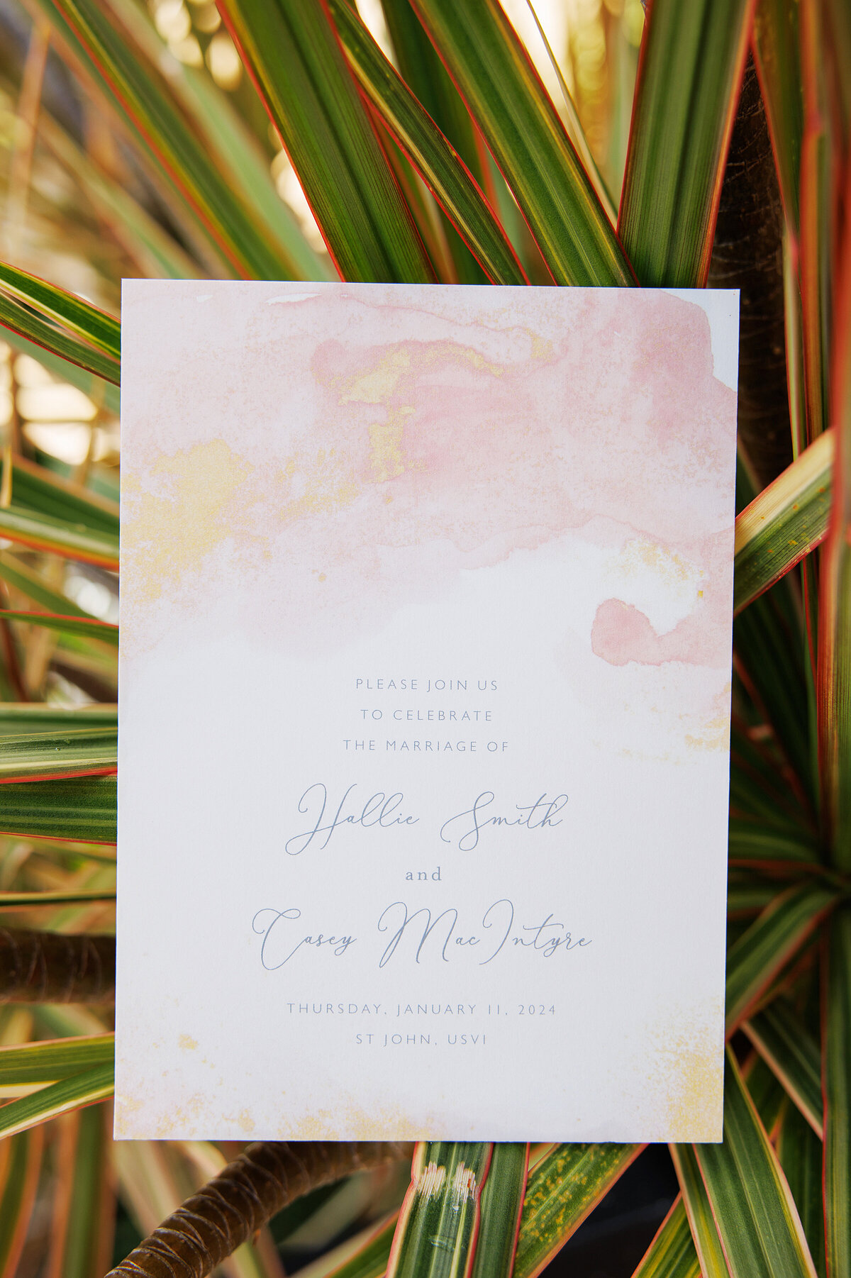 wedding at oppenheimer beach st john