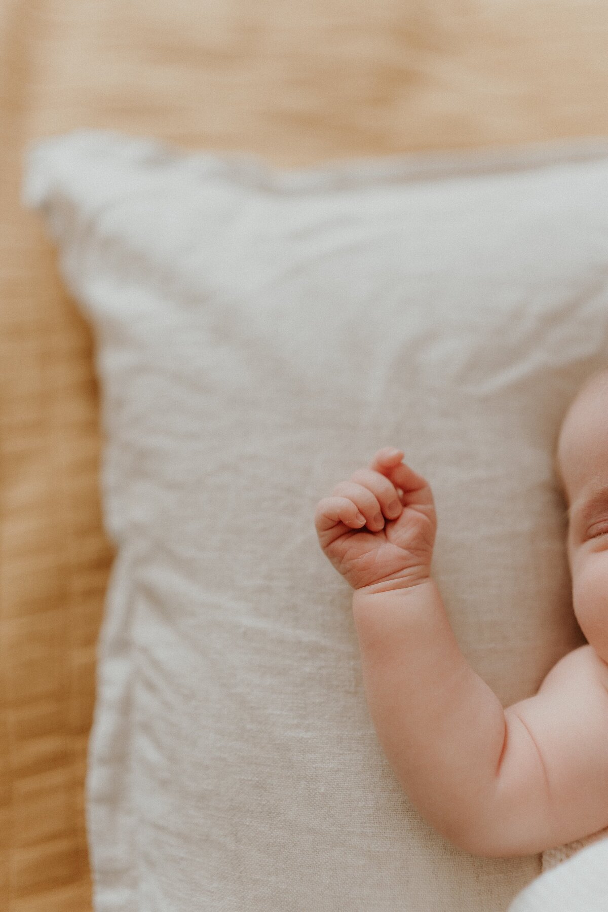 central-coast-newborn-baby-photos-willow-and-rose-32