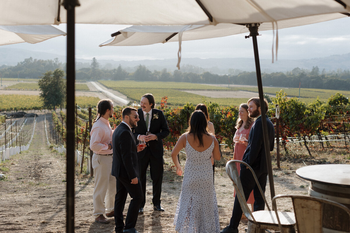 Guests enjoying cocktails and laughter during a vineyard wedding reception in Napa Valley, perfectly captured by professional wedding photographers.