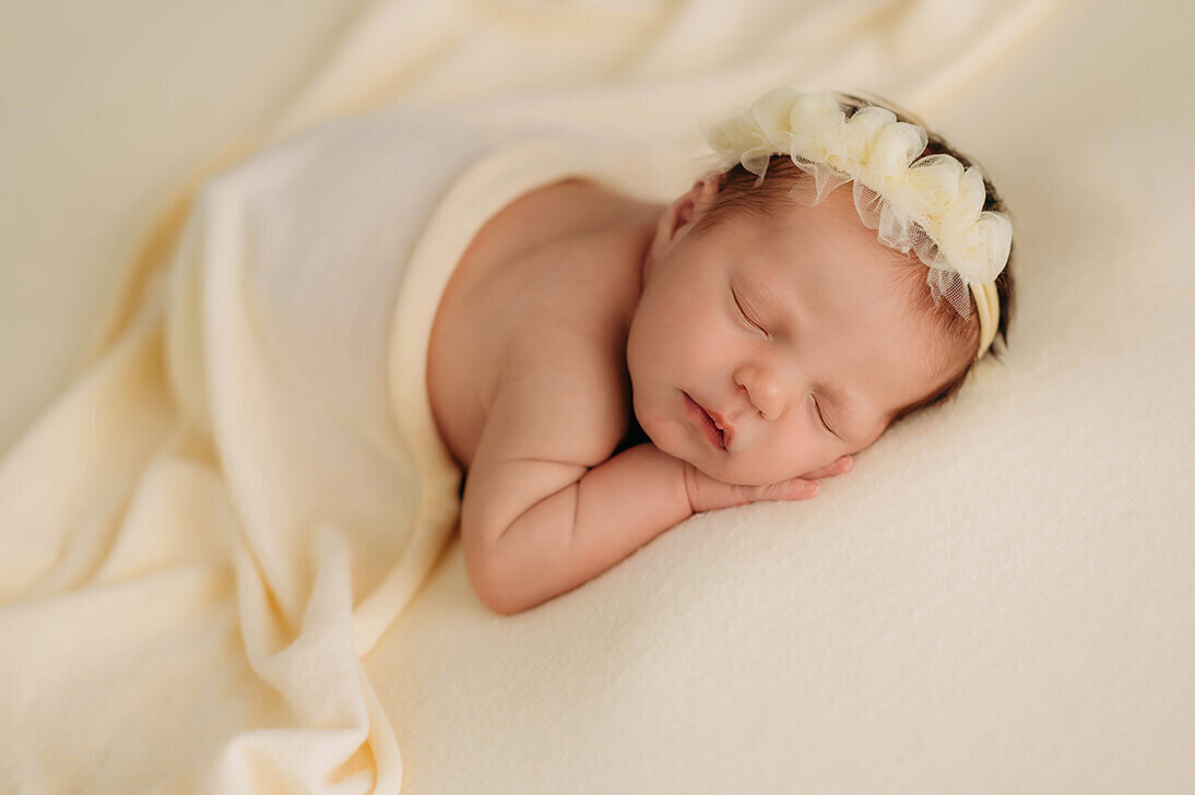 Infant sleeps during Newborn Photography session at Asheville Portrait Studio.