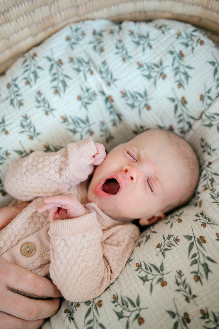 Auburn-AL-Newborn-Photographer-208