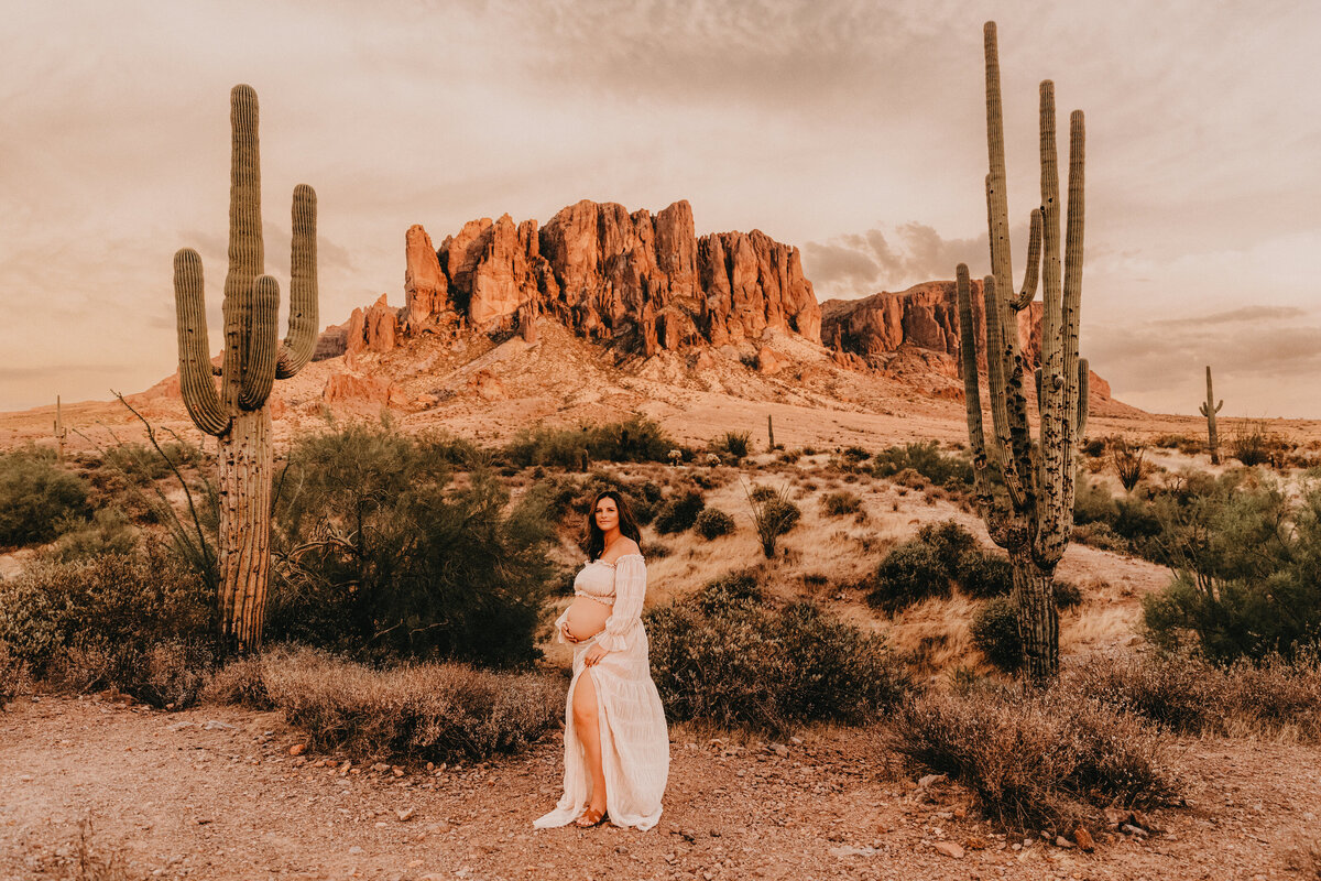 lost dutchman state park marternity pictures