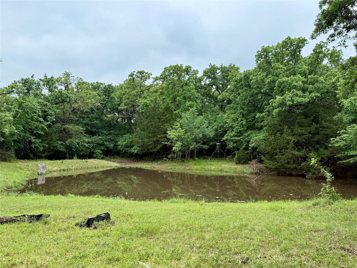 Aerial view of 16 acres with mature trees and pond in Collinsville, TX