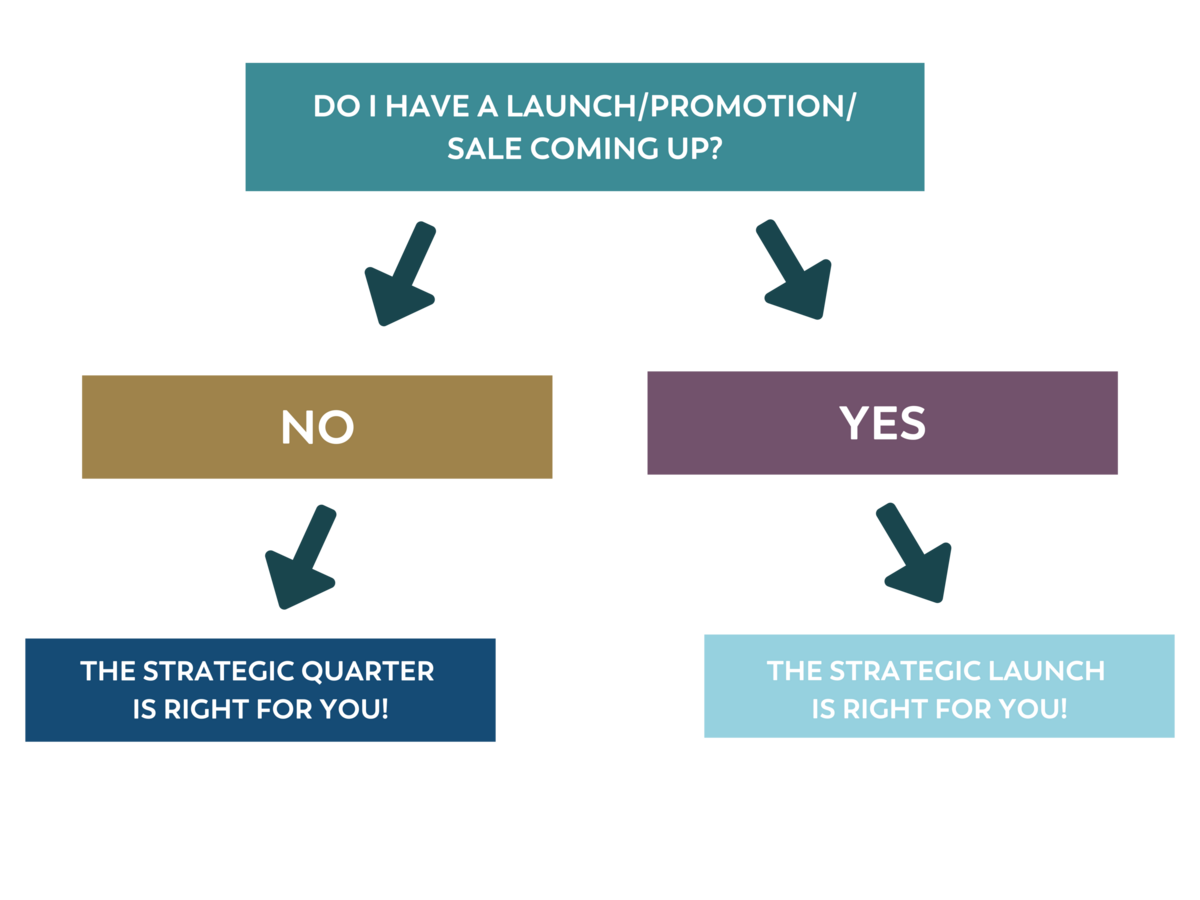 Do I have a launch/promotion/ sale coming up? ➡ No ➡ The Strategic Quarter  is right for you! / Do I have a launch/promotion/ sale coming up? ➡ Yes ➡ The Strategic LAUNCH  is right for you!