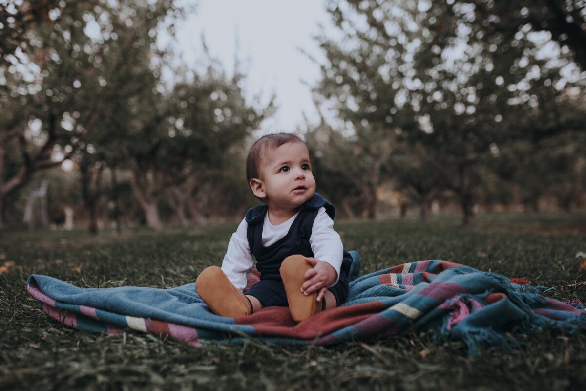 Idaho Falls family photographer photographs baby boy sitting on a blanket in an apple orchard