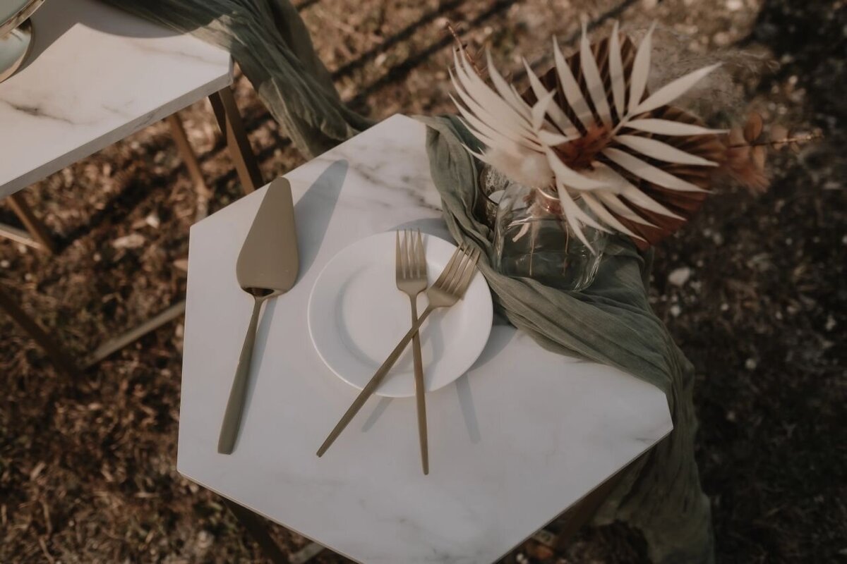 paisley-sunshine-white-rock-canyon-tampa-elope-chantilly-chic-celebrations-13