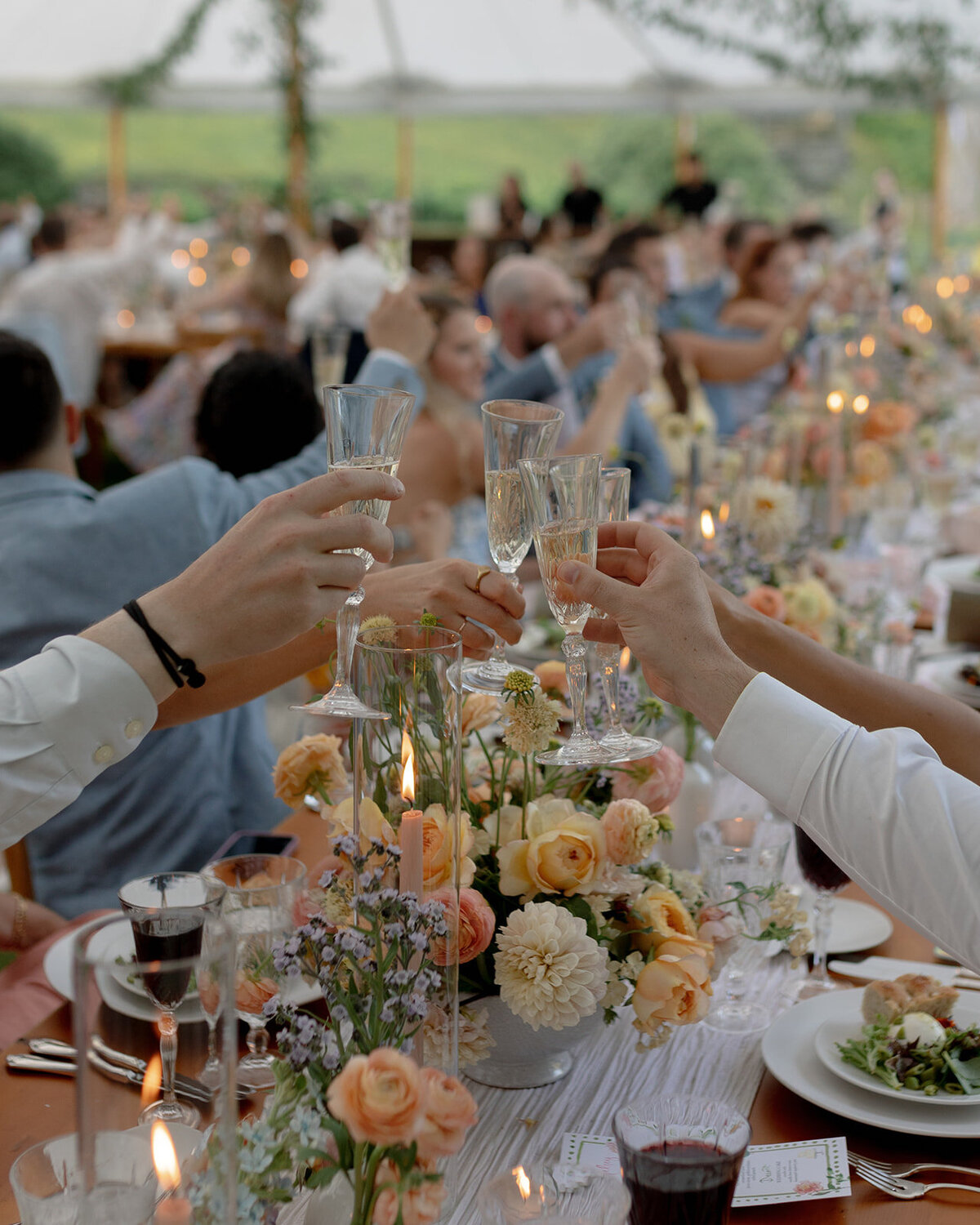 Reception-LisaJames-ColinandLakin-170