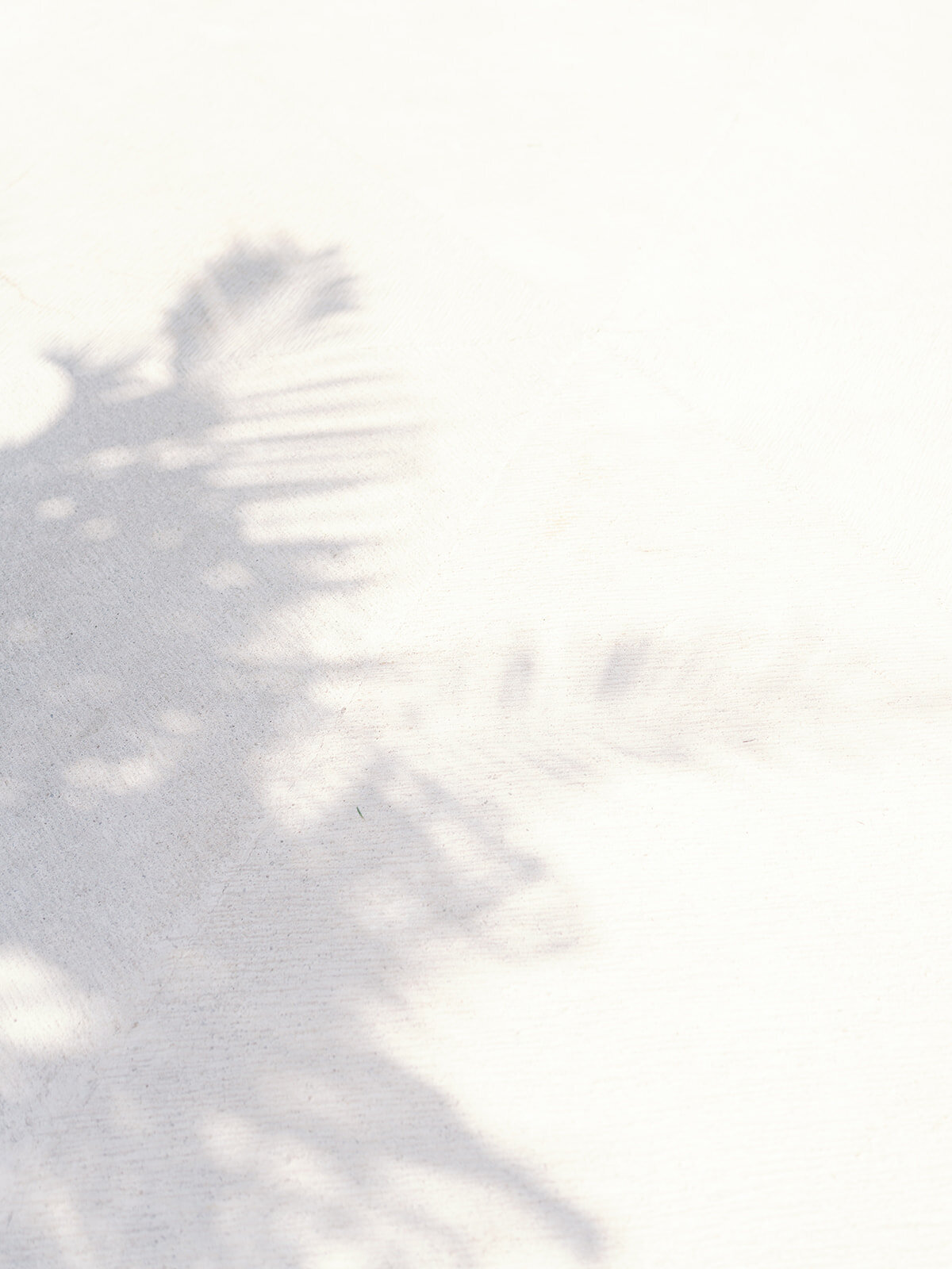 JuliaJonahWedding_LFP_0154