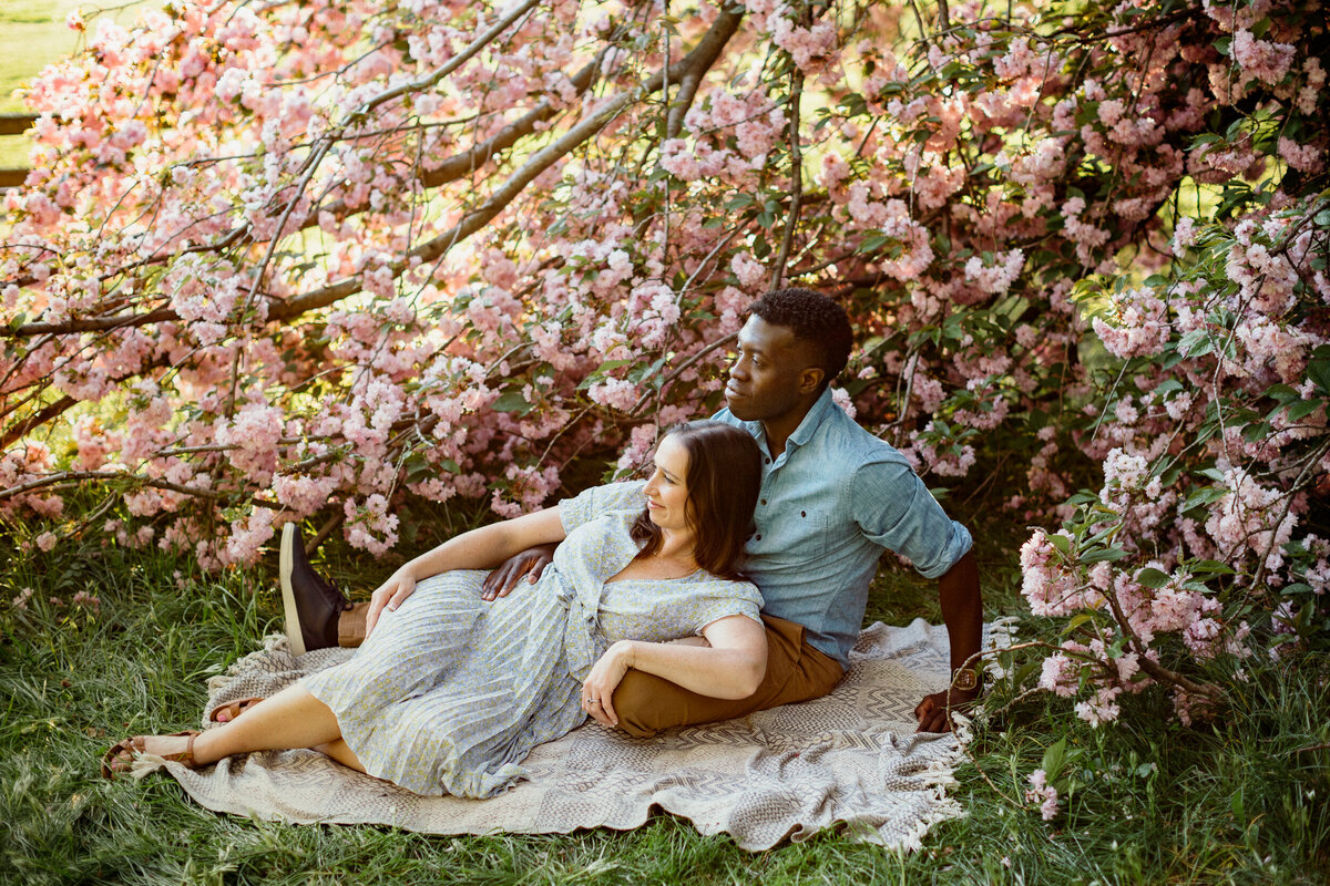 cherry blossom engagement photos philly