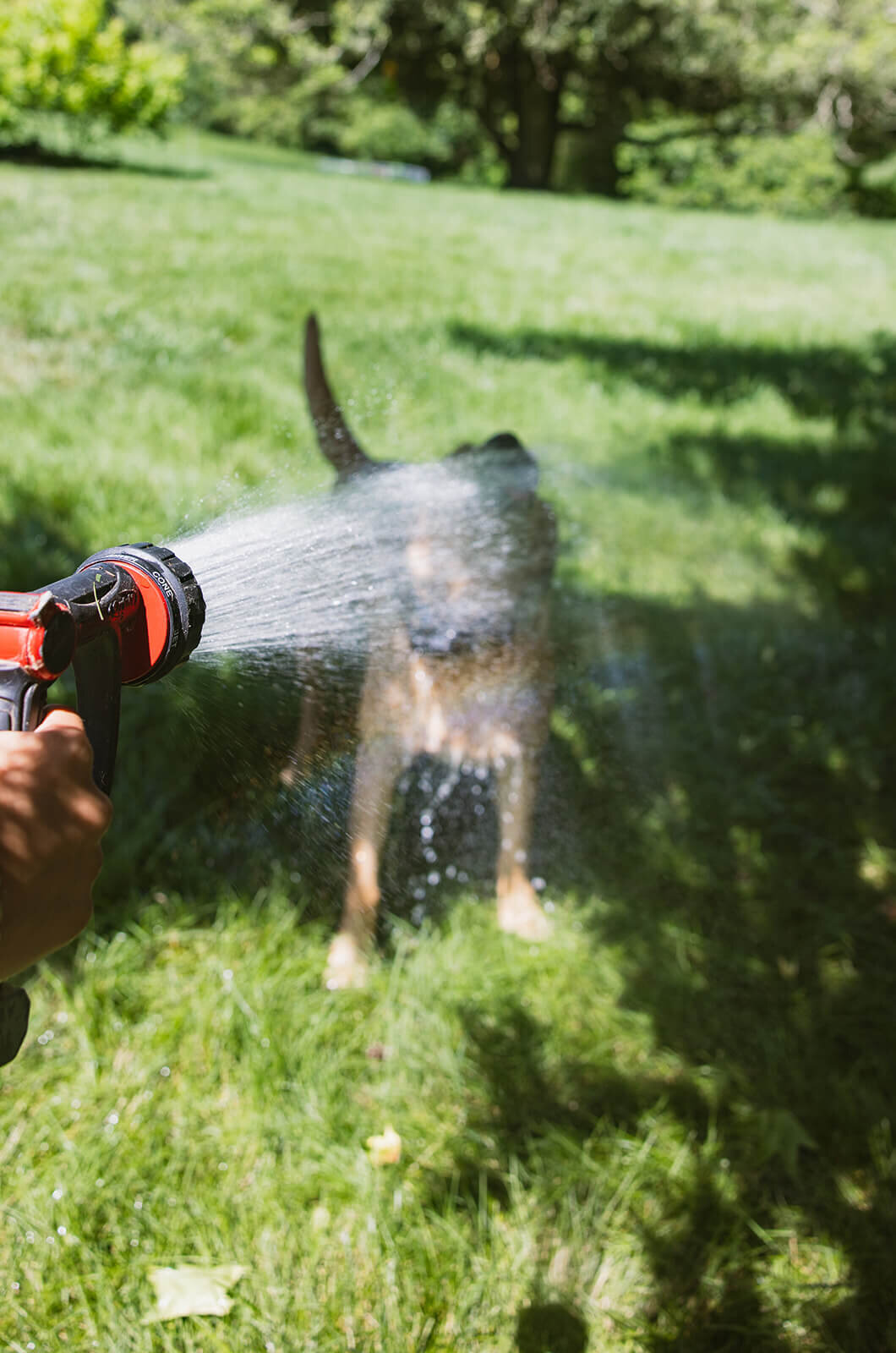 Makayla Maya Nia-Group-3106