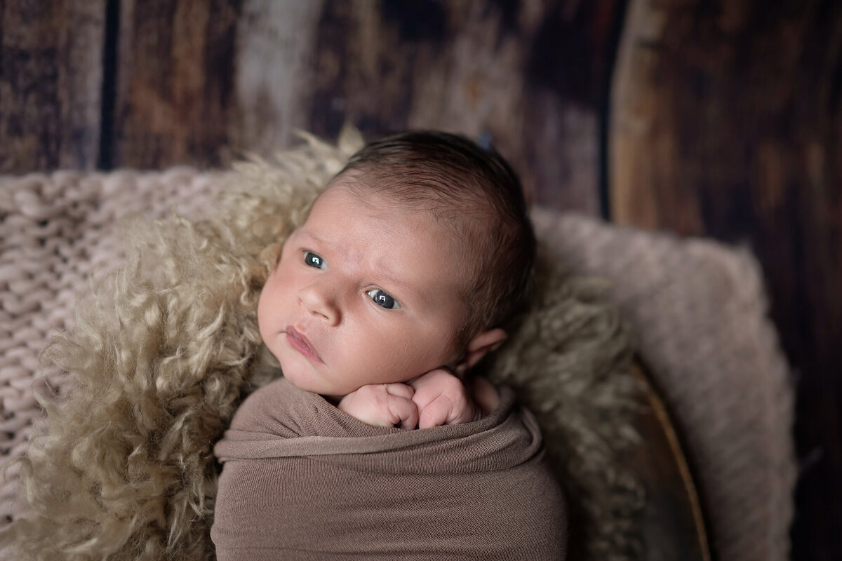 A curious newborn looks around while laying in a basket