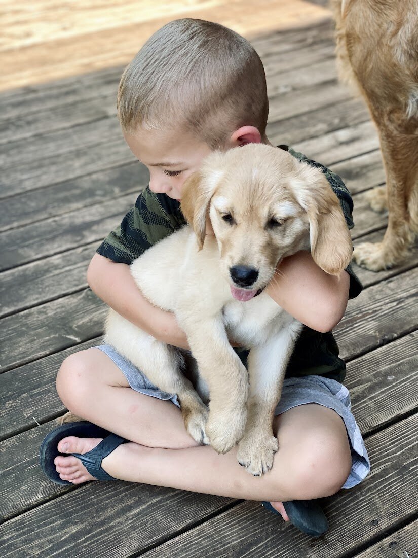 Appelgate-golden-retriever-puppies-Emmie-2
