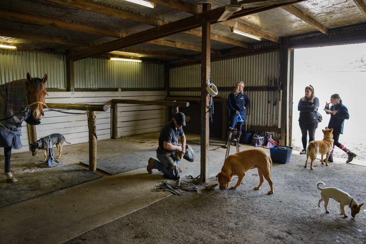 Gathoni Yarra Ranges documenetary photographer