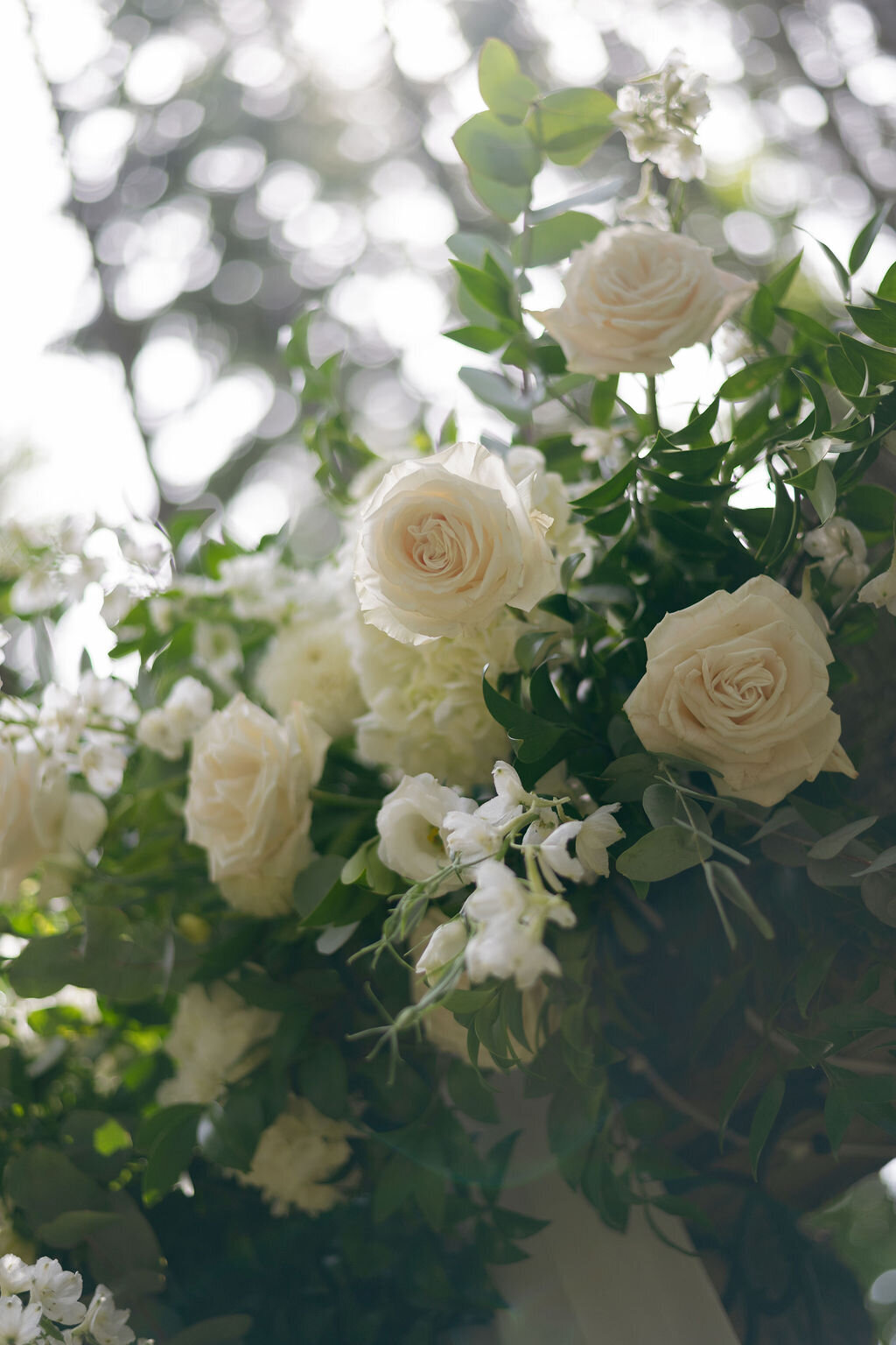 Wheatfield Estate x Tamara Rose Photography113