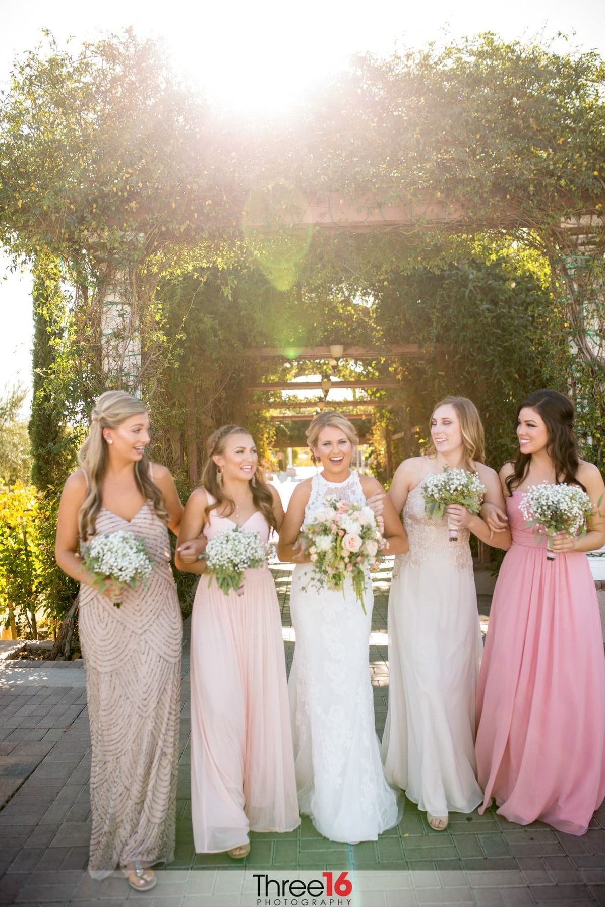 A Bride and her Bridesmaids