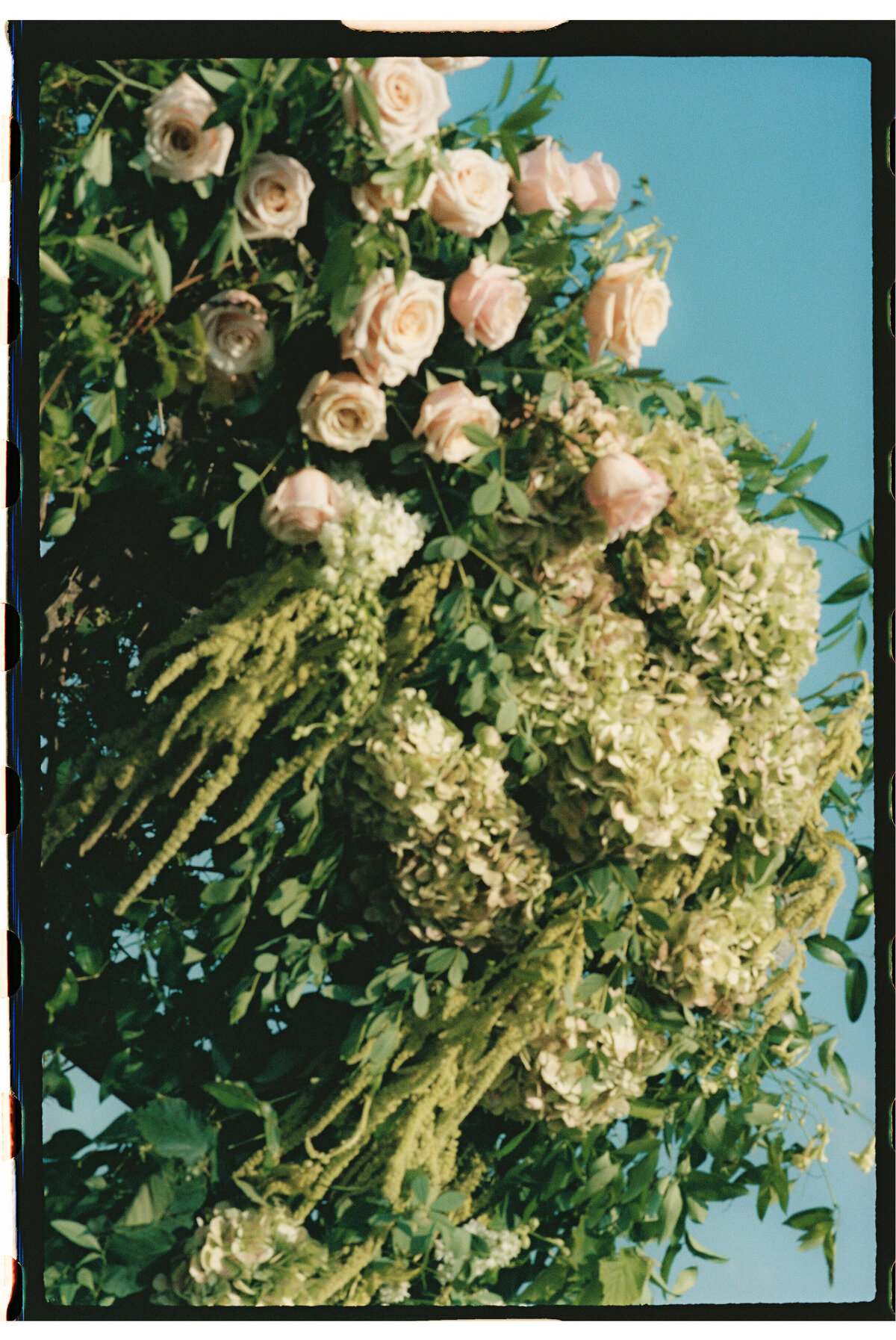 shana&jefffilmphotos-126