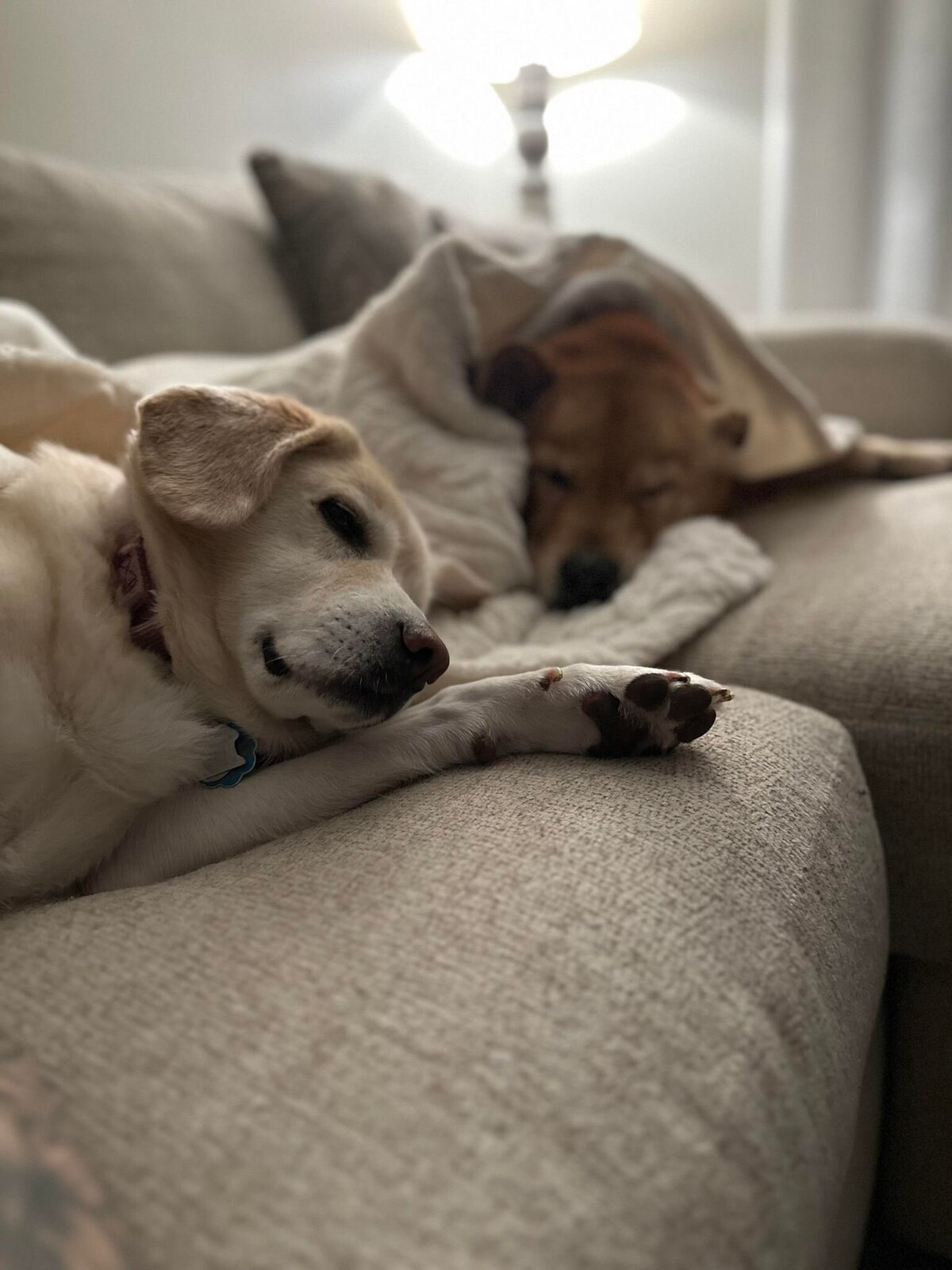 Cali and Brody
