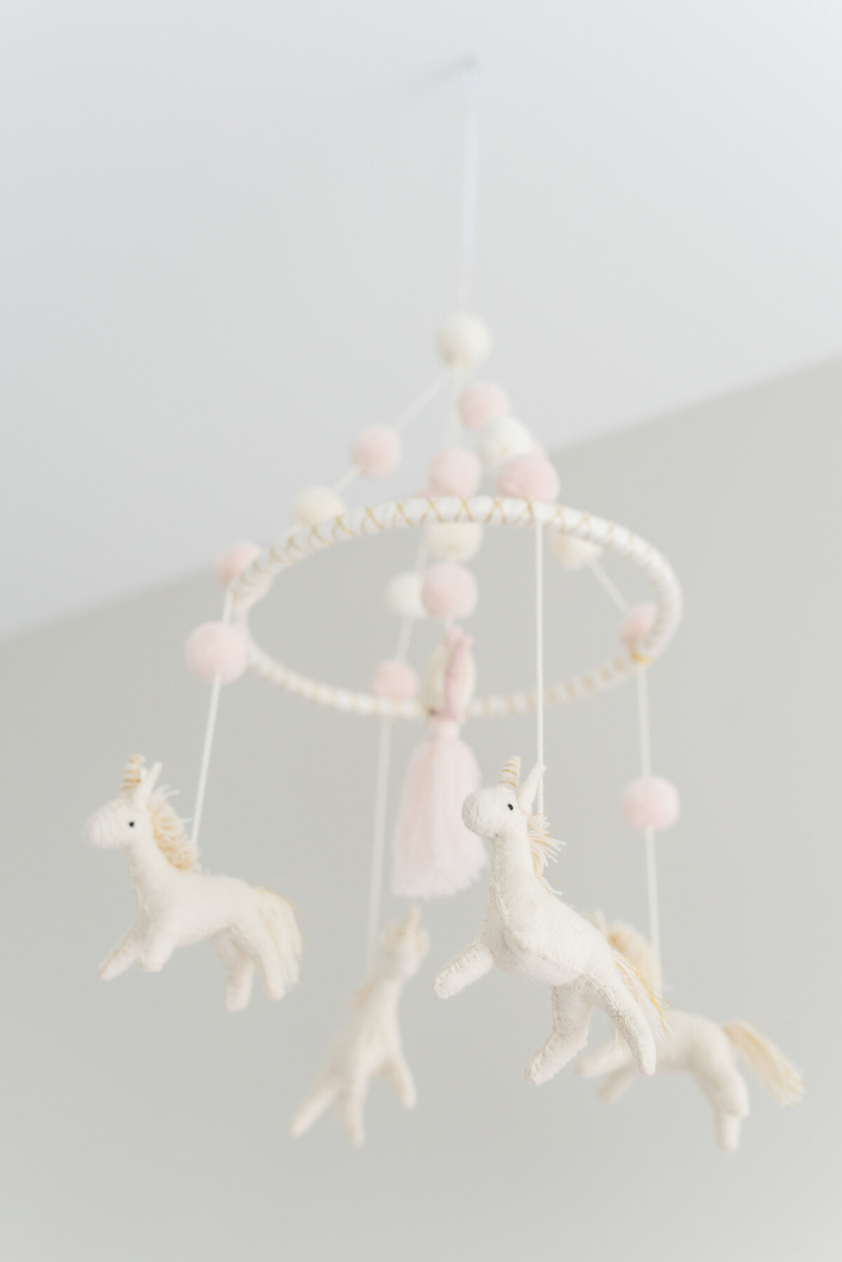 VanWertNewborn-3
