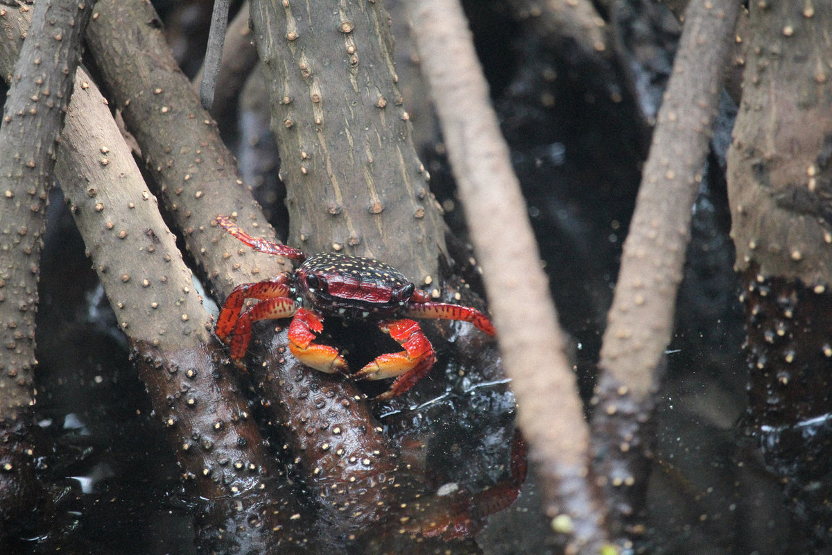 Wade_Muir_Photography_Places-edits-24