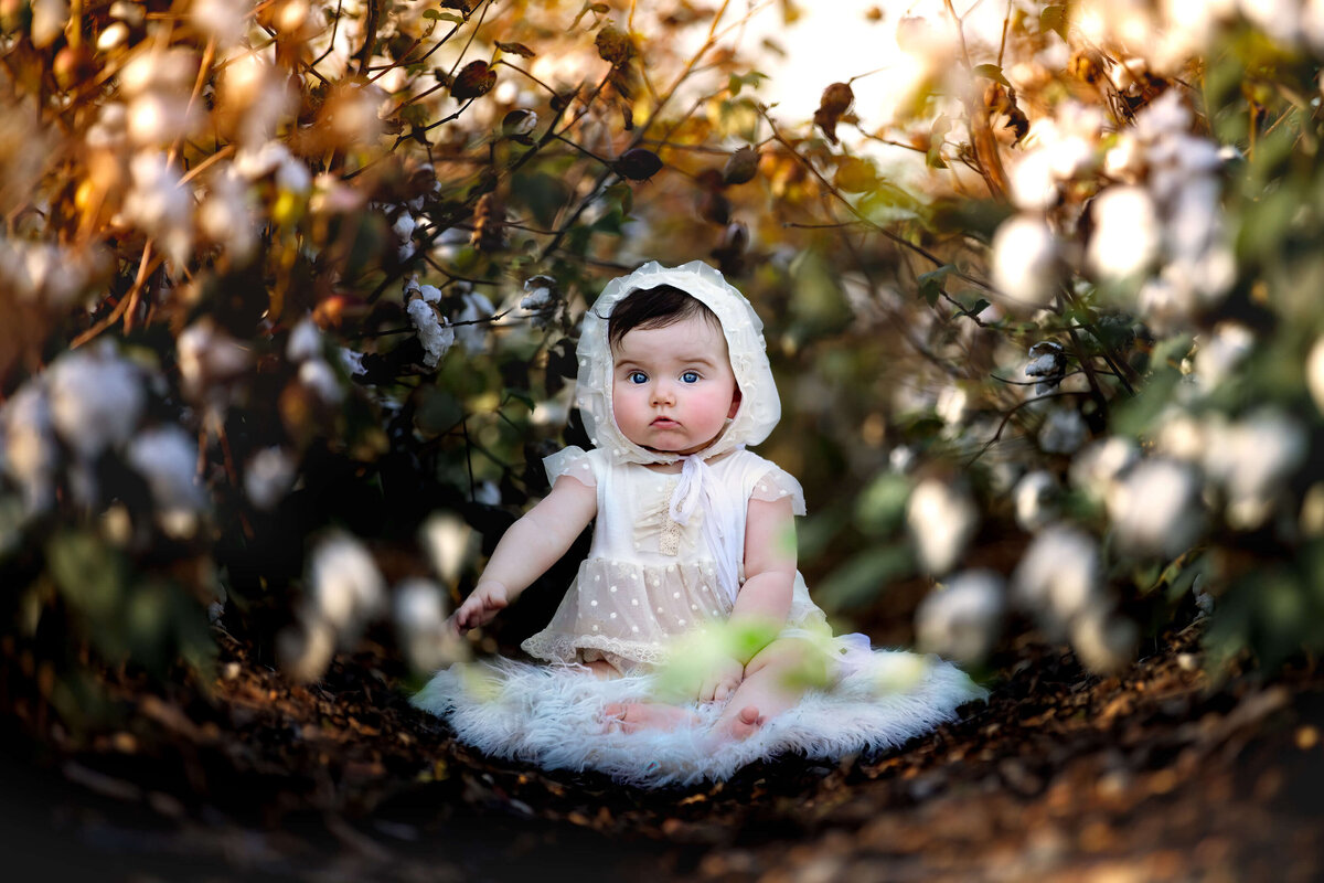 baby-photography-houston-1