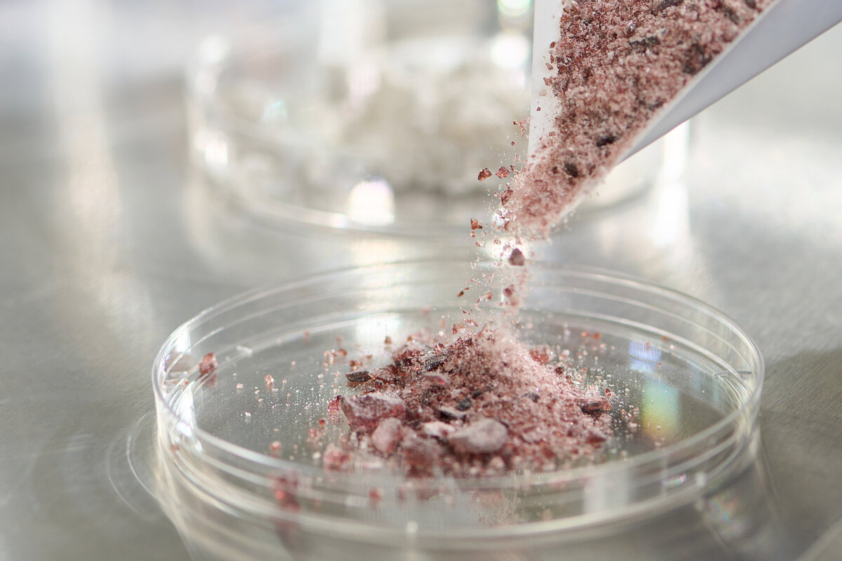 Baymedica_site_0577161