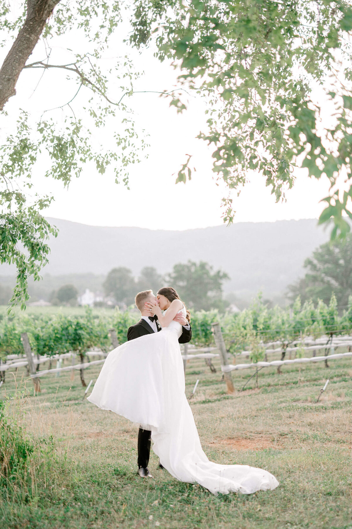 Groom picking bride up to kiss her in vineyard