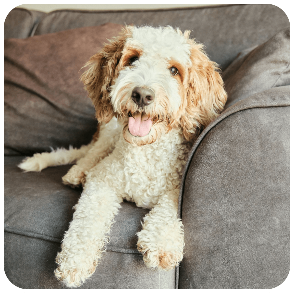 attaboys-and-attagirls-04