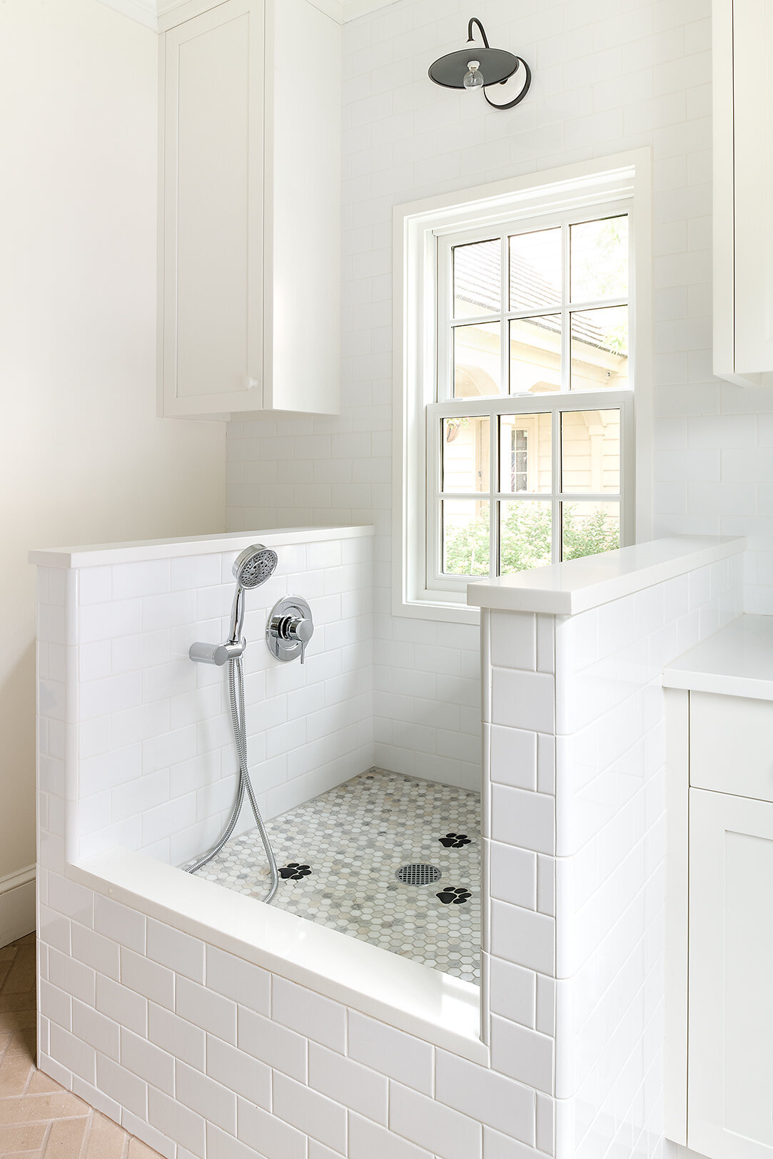 bright white dog washing station with windows overlooking outside