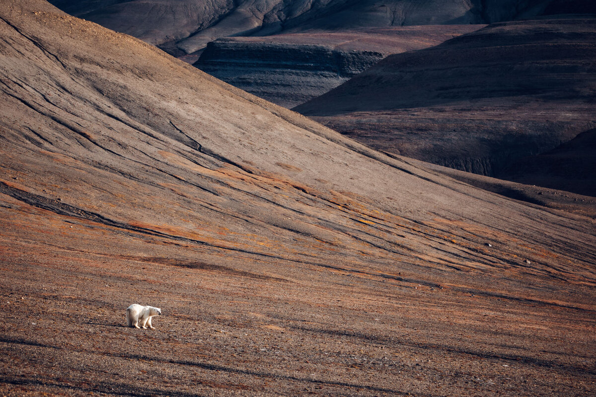 Svalbard-Arctic-Norway-Find-Us-Lost-8554-2