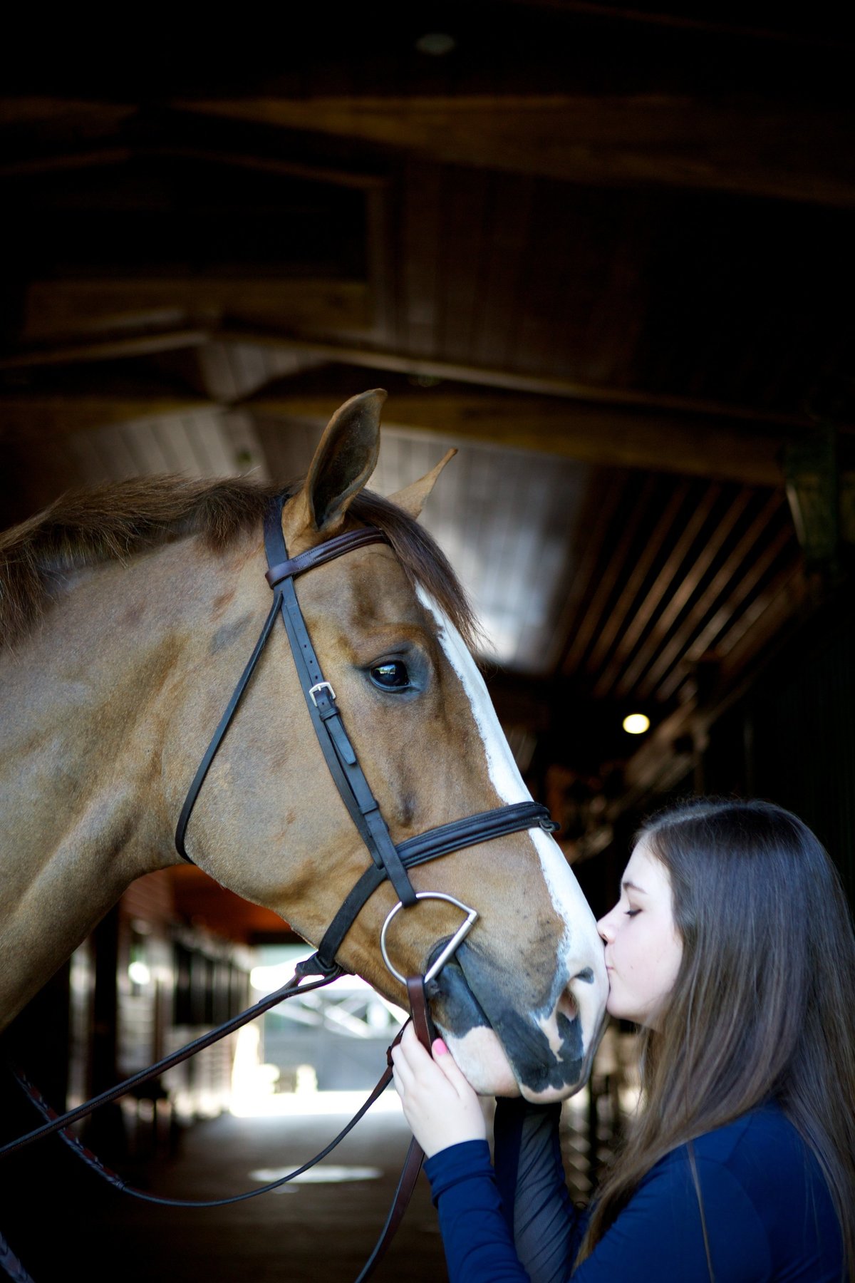 Windwood_Equestrian_riding_lessons_jumper_hunter_Horse_Birmingham210