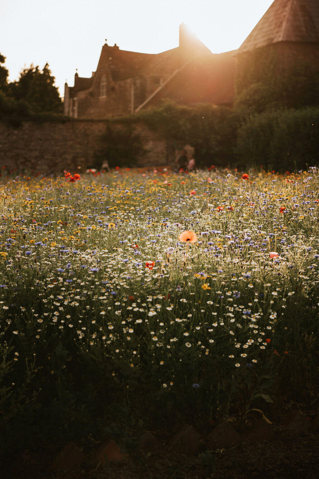 Kirsty-and-Ceith-Broadfield-Court-Wedding-Flowers-Issy-And-Bella-Florist-Herefordshire60