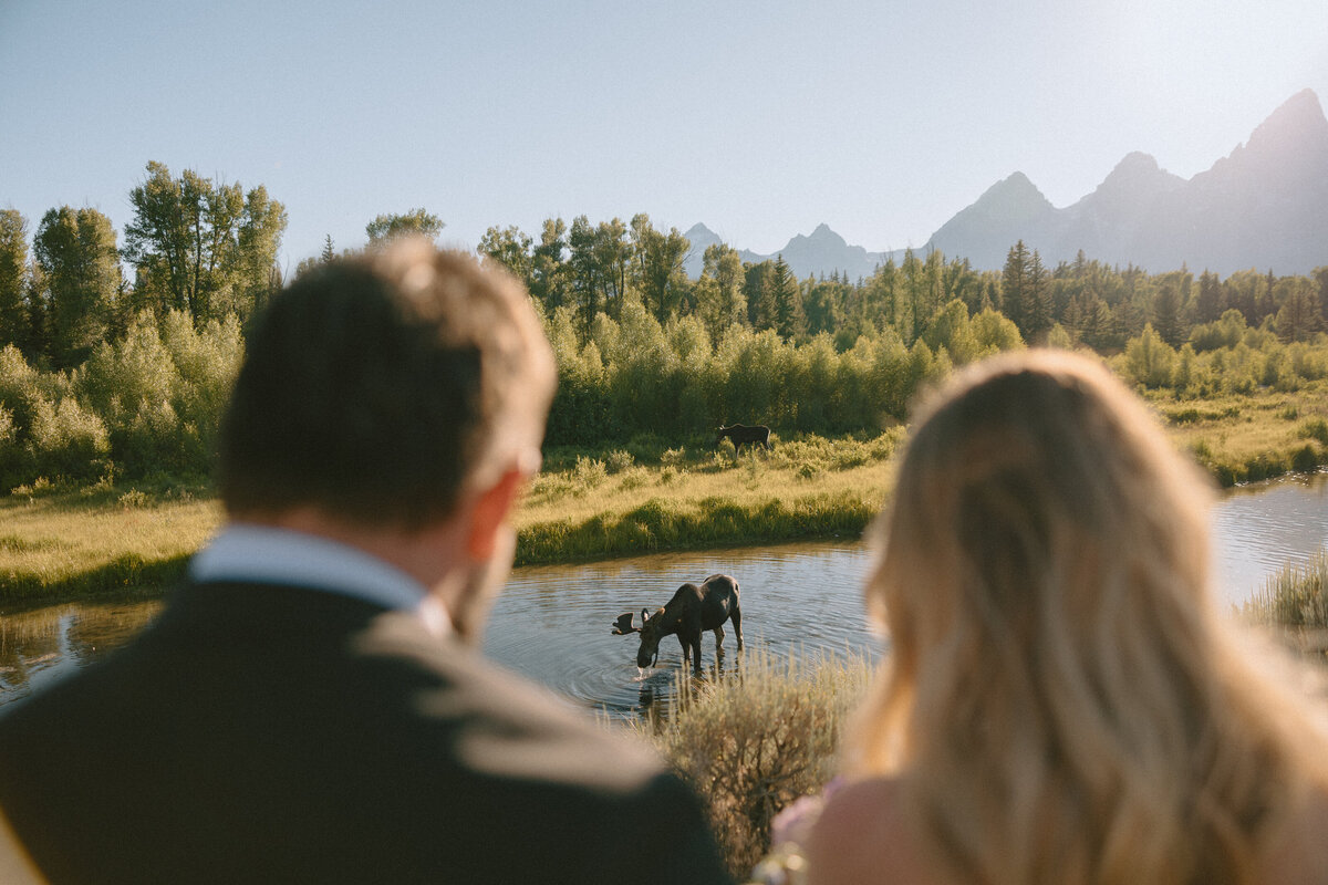 BillieFruitPhotography-josie+kennySNEAK-31