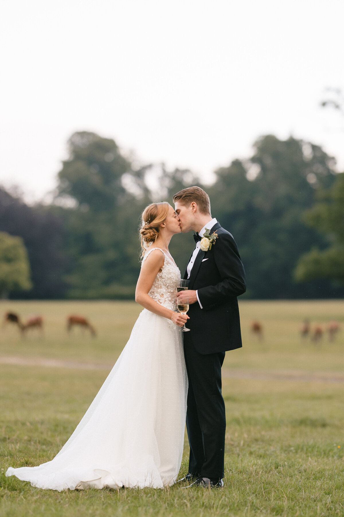 In the enchanting New Forest, a bride and groom stand in an open field, kissing. The bride wears a white gown, and the groom dons a black suit with a boutonniere. Trees and grazing deer paint a picturesque backdrop for this beautiful wedding moment.