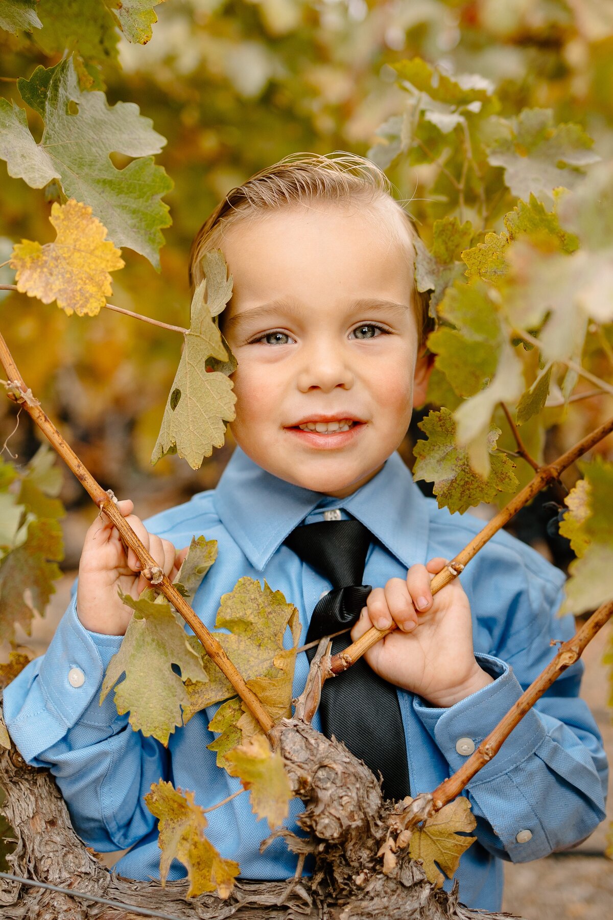 Hannah-Berglund-Photography_Erika-Nick-Leal_Lodge-Sonoma-Wedding-530