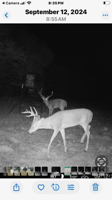 Deer at 33.6 acres of treed land near Rock Creek Expansion for sale