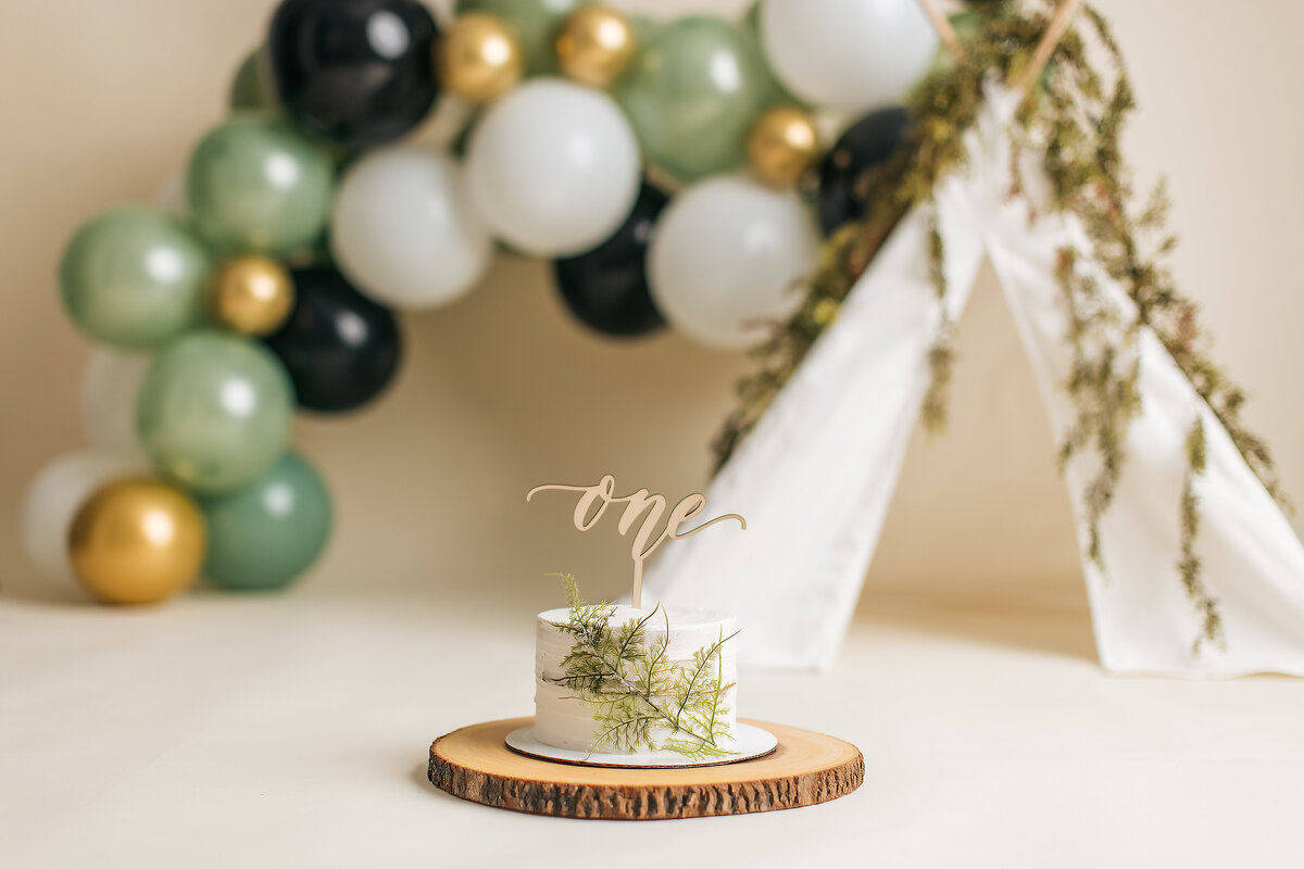 Huntsville AL Cake Smash Photographer