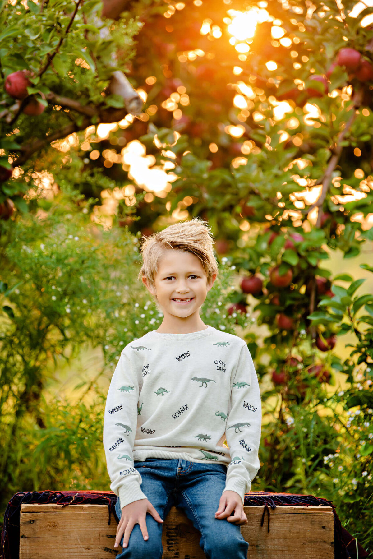 young boy standing in an apple orchard for his fall family photos in Burlington, ON