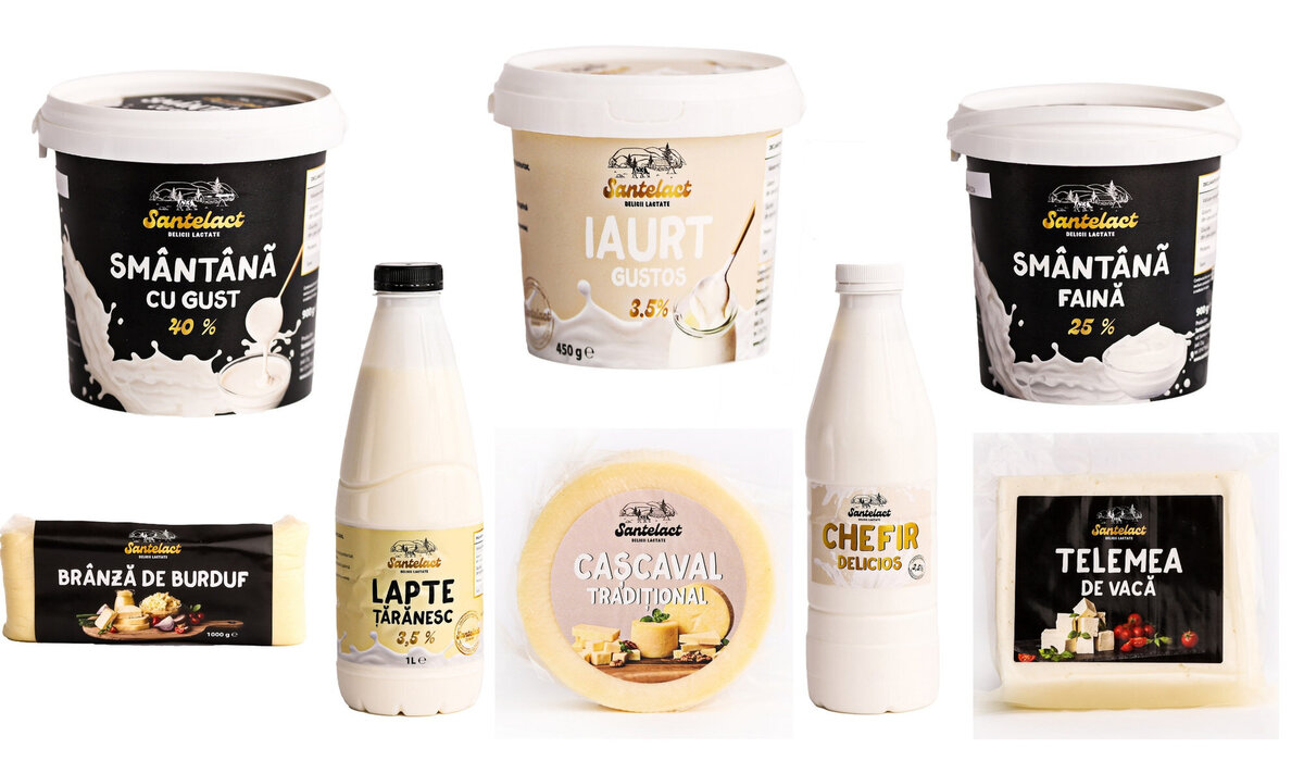 brand design for dairy company20